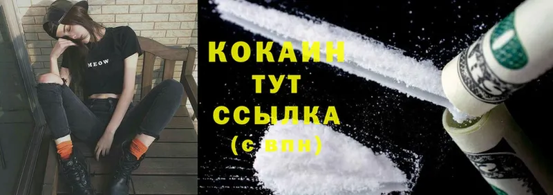 купить закладку  Печора  Cocaine Эквадор 