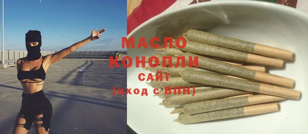 крисы Няндома