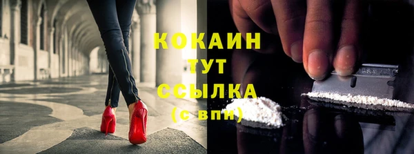 крисы Няндома