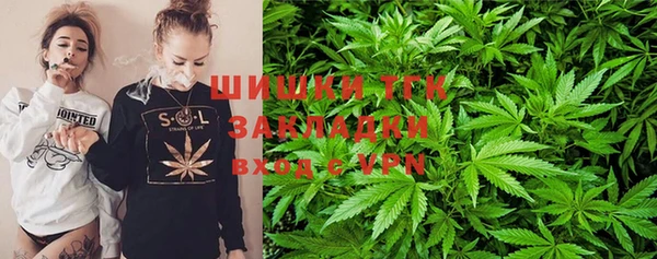 прущий лед Богданович