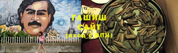 крисы Няндома