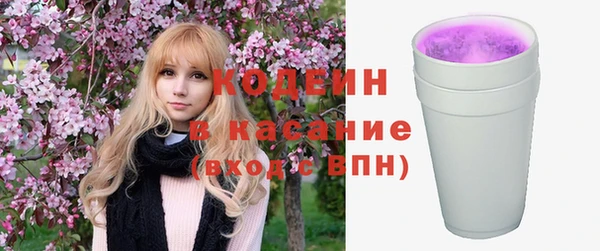 шишки Богородск