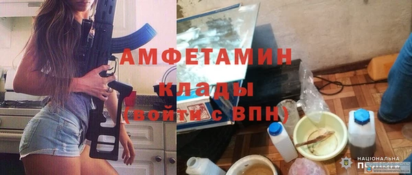 крисы Няндома