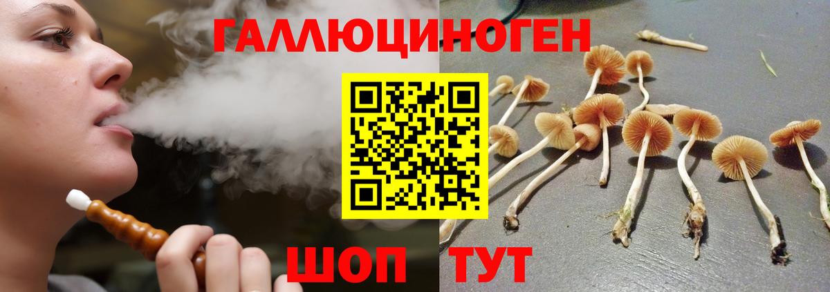 Галлюциногенные грибы Magic Shrooms Печора