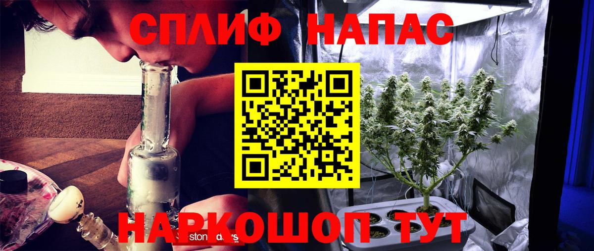 Бошки марихуана семена  Вход с VPN  Печора  МАРИХУАНА планчик 